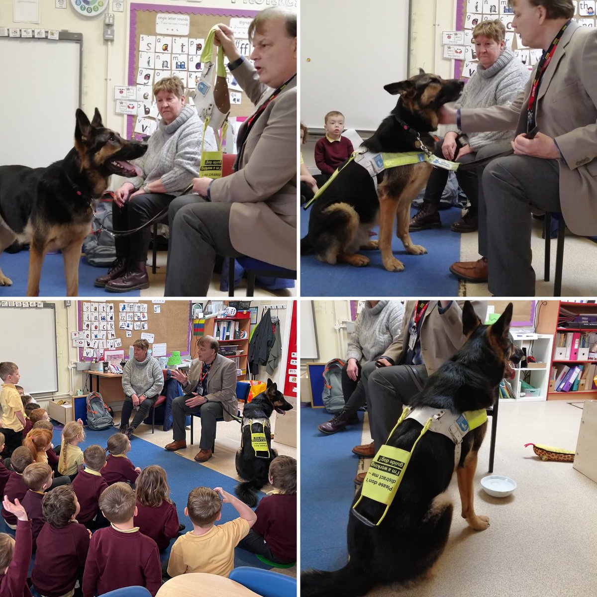 SpringfieldPri1's tweet image. EYFS asked the curious question- ‘Can animals be heroes too?’. Thanks to Alan and his Guide Dog, Gabriel, for visiting us and providing the answer! We loved meeting both of them and now know how @guidedogs help people in lots of different ways! #reallifeheroes #possibilities