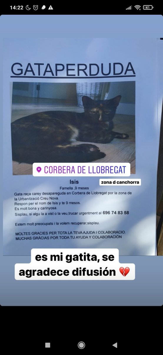 Carla48674013's tweet photo. Gata perdida por Corbera de Llobregat, cualquier información es necesaria!!!!! Difusión!!!! 
#gataperdida #Barcelona https://t.co/TBK6xaIf54