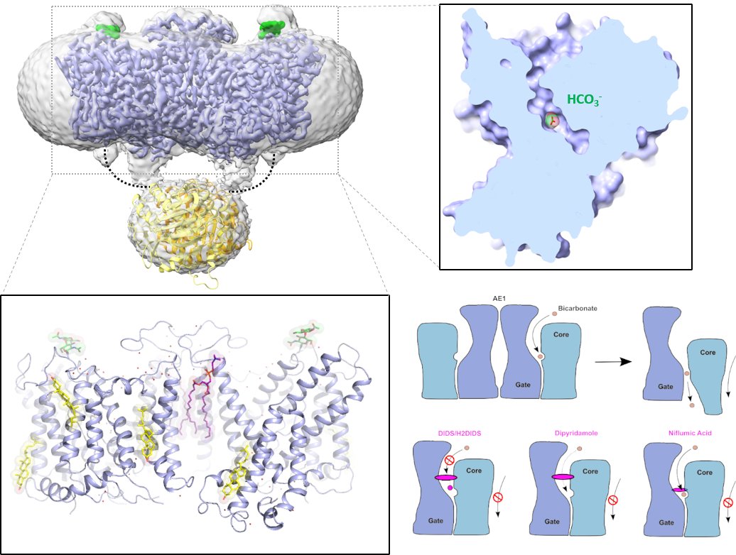 Daniel Wacker tweet media