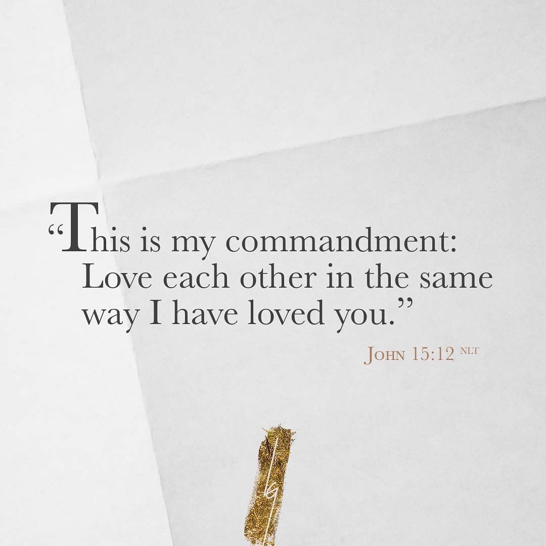 Lilly Goodman tweet media