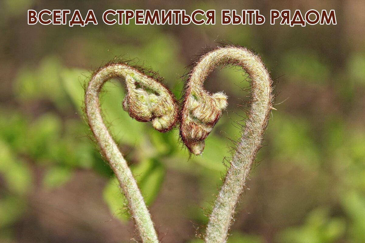 PlantShip's tweet photo. #сднёмсвятоговалентина #plantship

https://t.co/BdFtB94SRs https://t.co/DKZ6HbLwT3