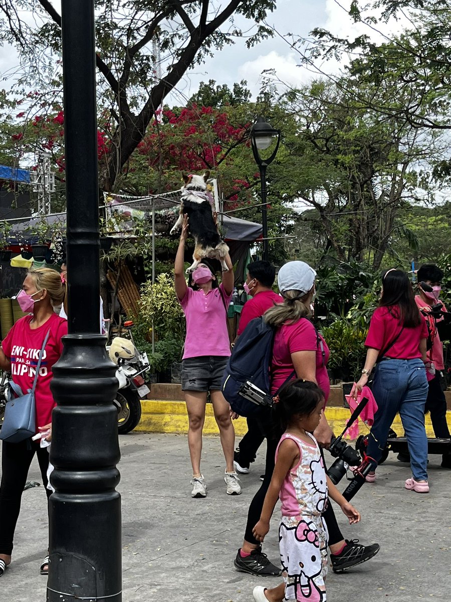 annaptan's tweet image. #robredogs #doggosforleni #PinkSunday 🎀🎀🎀🐶🐕🦮🐩🐕‍🦺