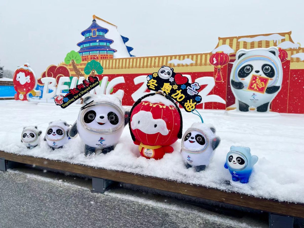 Beijing2022's tweet photo. ❄✨Look at all the snow! #BingDwenDwen and #ShueyRhonRhon have started their Beijing 2022 adventure at this winter wonderland. What are your favourite ice and snow events？💕

#Beijing2022 #Olympics #TogetherForASharedFuture https://t.co/1qufySMyn6
