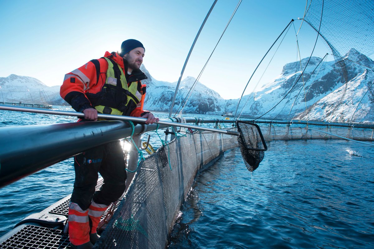 Happy Valentine’s Day or Ha en god valentinsdag! 💕 

Today we celebrate our true love, fishing! Norway wouldn’t be the country it is today were it not for fish, and Norwegian’s love sharing their fish with the world.