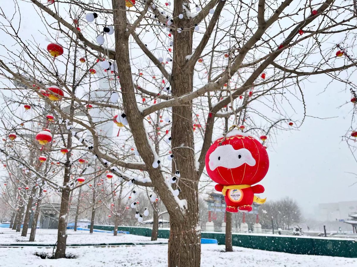 Beijing2022's tweet photo. ❄✨Look at all the snow! #BingDwenDwen and #ShueyRhonRhon have started their Beijing 2022 adventure at this winter wonderland. What are your favourite ice and snow events？💕

#Beijing2022 #Olympics #TogetherForASharedFuture https://t.co/1qufySMyn6