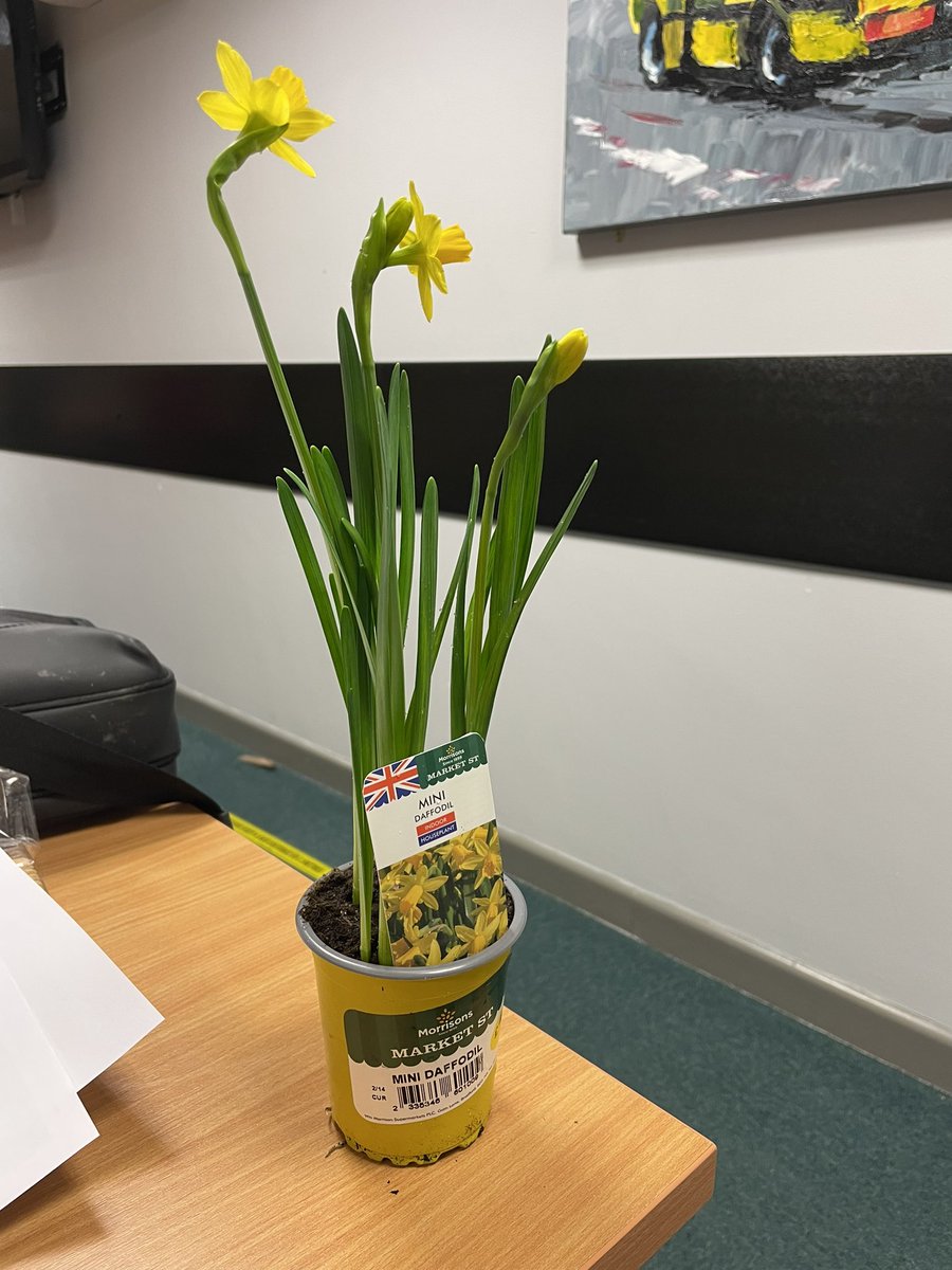 Lindsey Newey tweet media