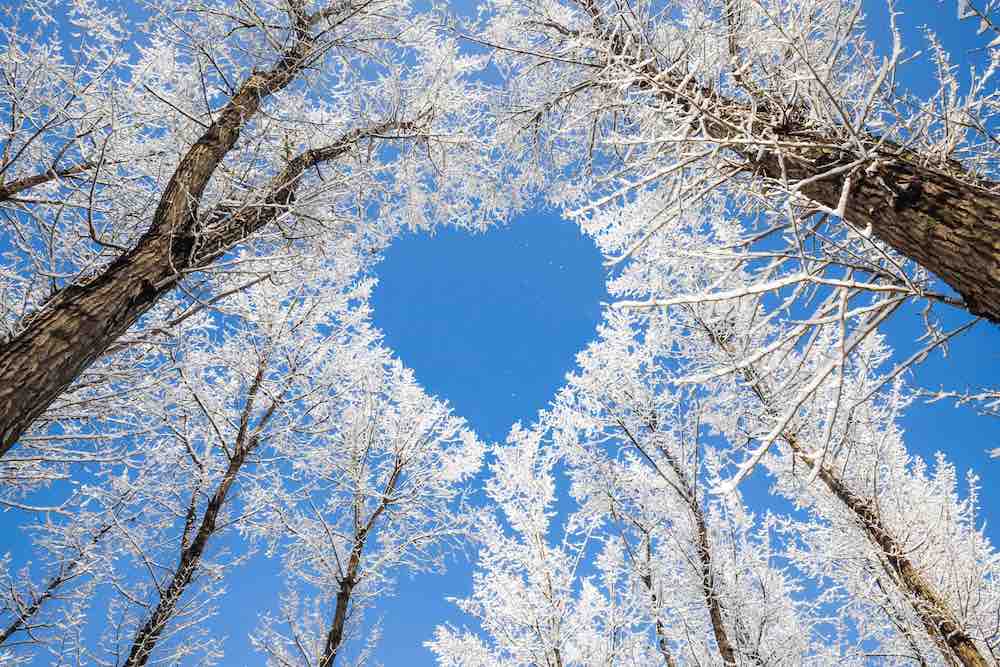 colouritinltd's tweet photo. It's Valentine's Day today - seems like a good time to re-read this blog from last year! ❤️ Top ten tips on how to make people fall in love with your website.

https://t.co/p6T0XE9OnX

#yorkshire #valentinesday2022  #digitalmarketing #webdesign #riponwebdesign #webdesigntips2022 https://t.co/gpU1SEIgyV