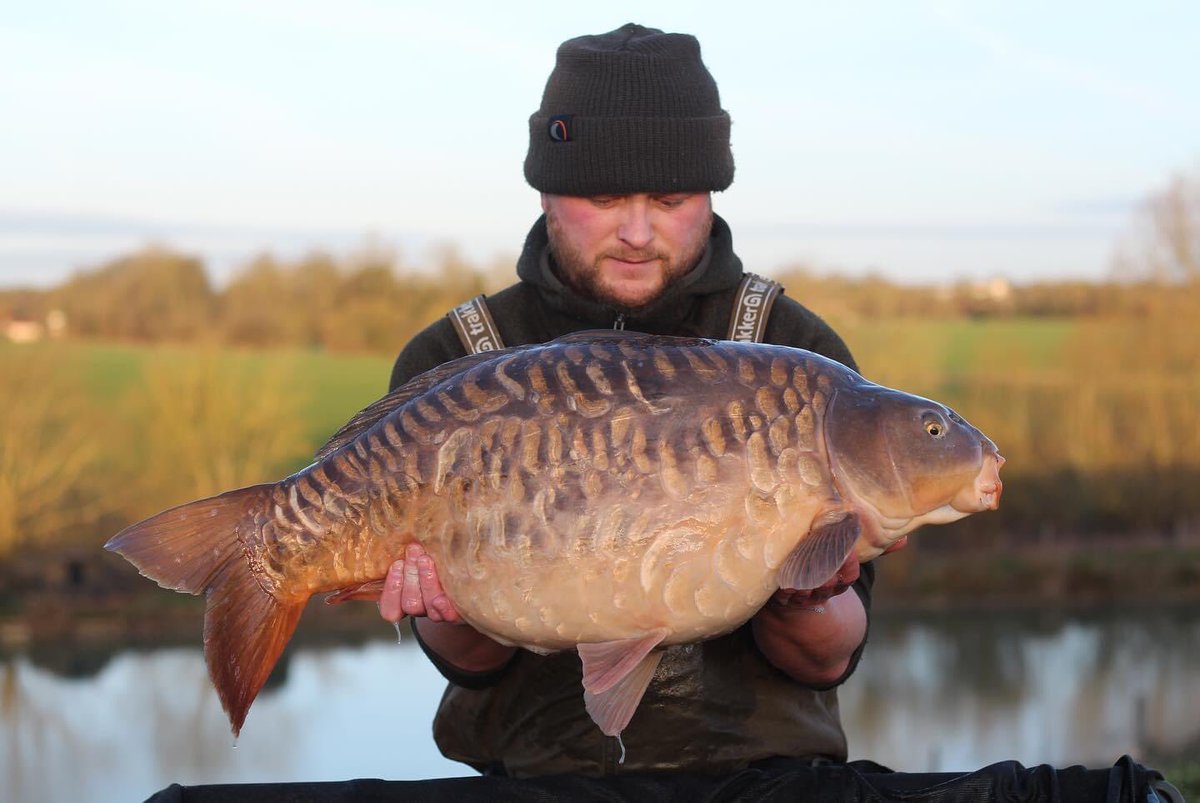 CarbonBaits's tweet photo. 💥💥Berners hall💥💥

Team member Dan Roach with a stunning 31lb mirror 👌🏼

Fishing 3 rods on a spot at around 100yards using hemp and corn with few handfuls of chopped worm done the job 🎣🎣 what a winter Dan is having 🔥🔥

Great Angling mate 🎣🎣 https://t.co/FycwepRQ1w