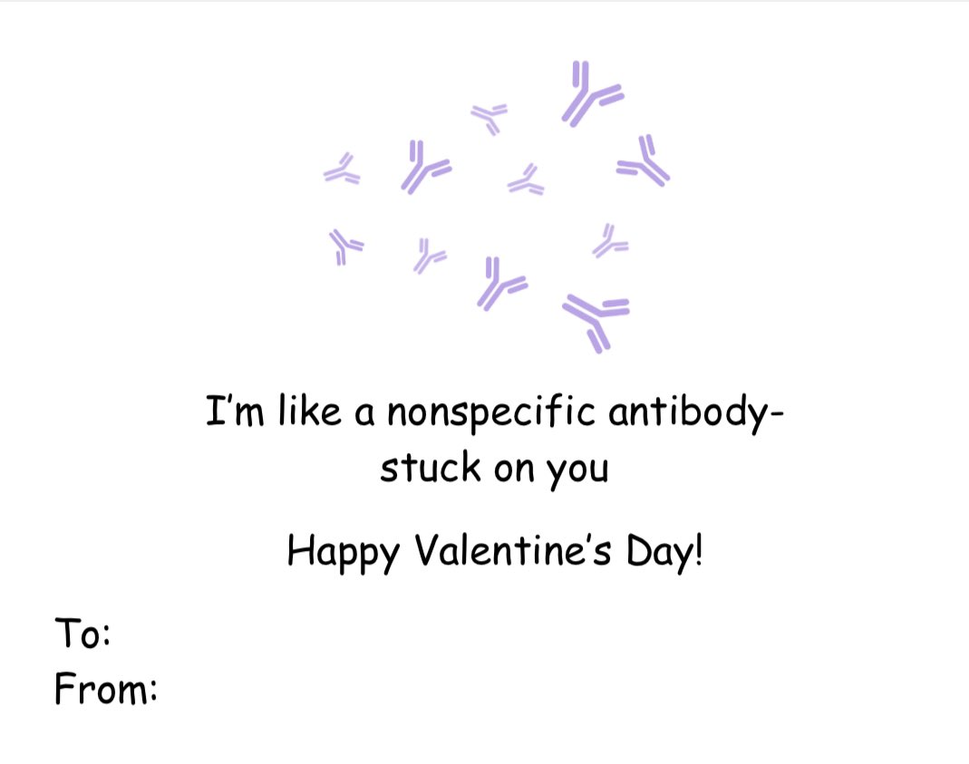 Kelsey Clausing tweet media