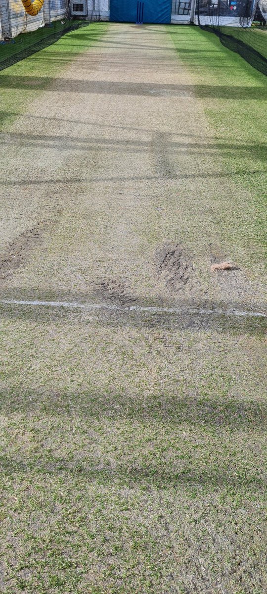 ChrisGeere1's tweet photo. First day of practice in the nets today at hove.  Considering we only had 3 weeks prep, problematic heaters and it's the middle of February we are very happy with how it played.  With @Bengibs0n https://t.co/BUAjBGcp56