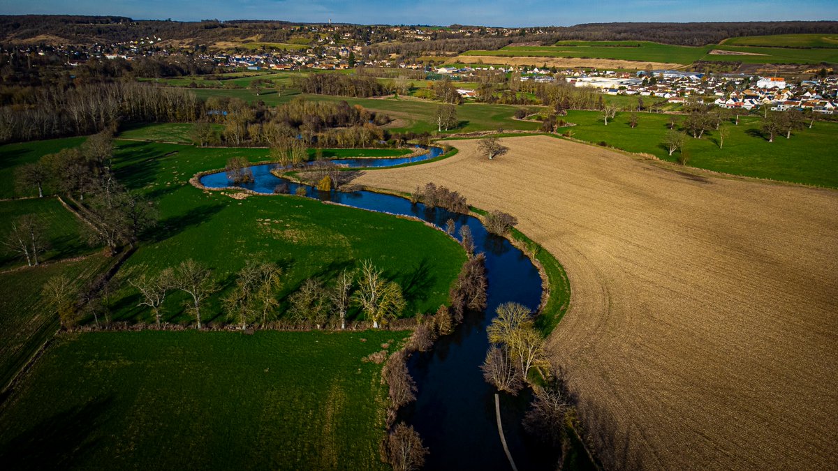 Elodie Montharoux tweet media