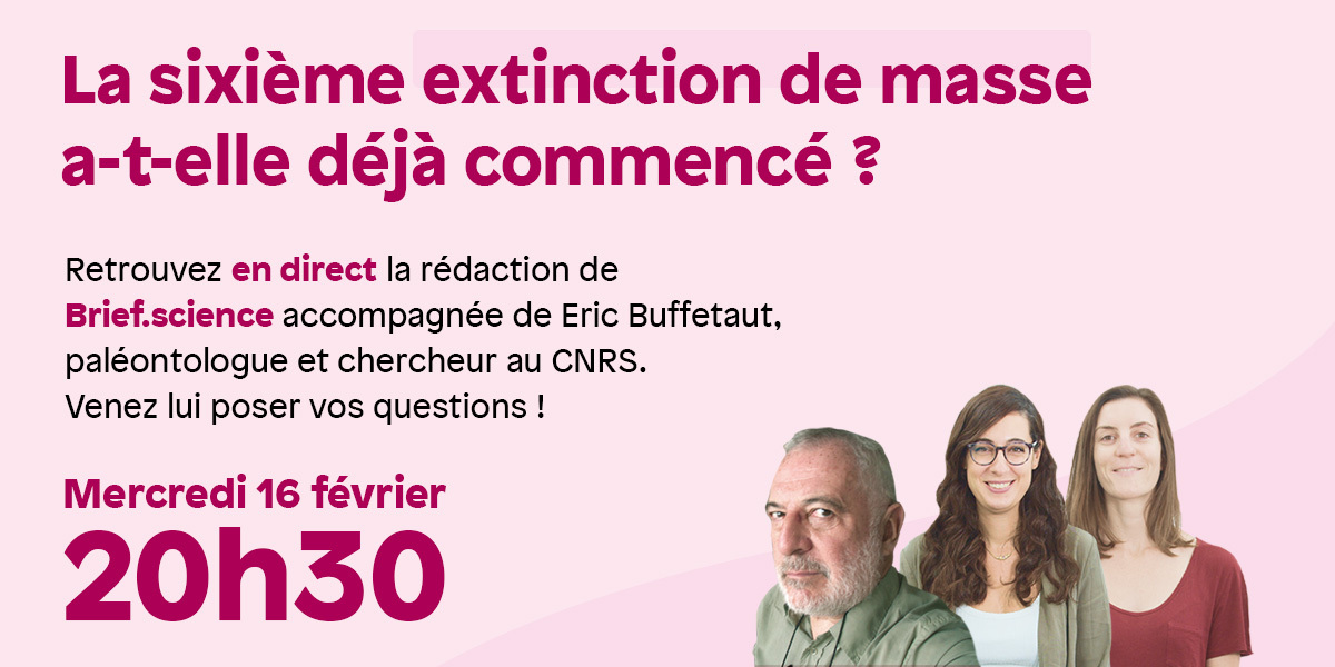 🦖 Participez à la prochaine émission de Brief.science !

Inscrivez-vous dès maintenant pour recevoir un rappel le jour de l'émission : briefme.typeform.com/to/MOxqvsM7