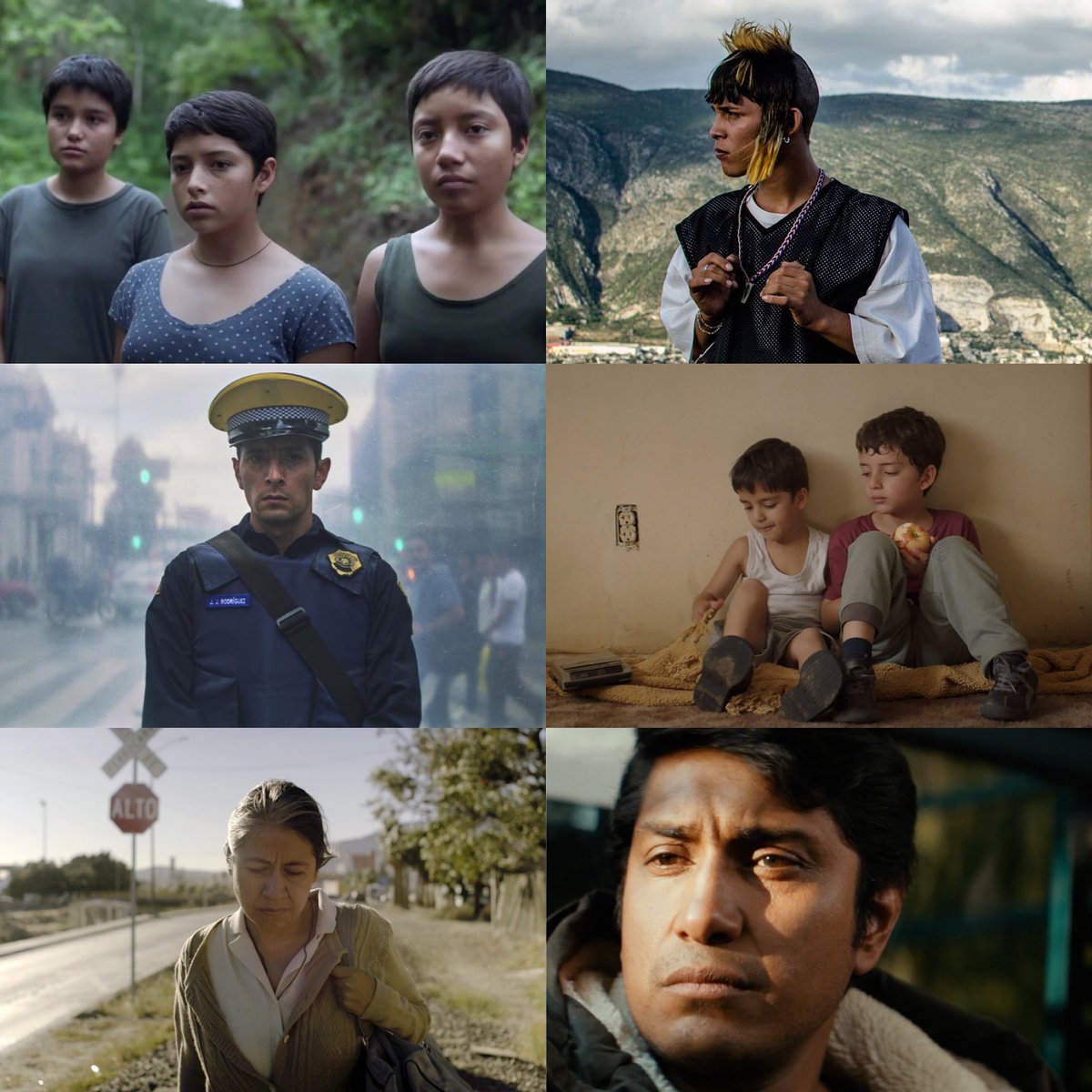 Carlos_Film's tweet photo. A reminder that some of the best Mexican films in recent years are easily available for anyone with a Netflix or HBO Max account 🇲🇽:

-PRAYERS FOR THE STOLEN (N) 
-I’M NO LONGER HERE (N) 
-A COP MOVIE (N) 
-LOS LOBOS (HBO)
-IDENTIFYING FEATURES (HBO) 
-SON OF MONARCHS (HBO) https://t.co/aUCHkwOrhe
