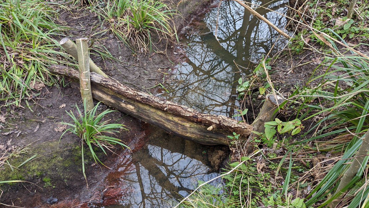 Mersey Rivers Trust tweet media