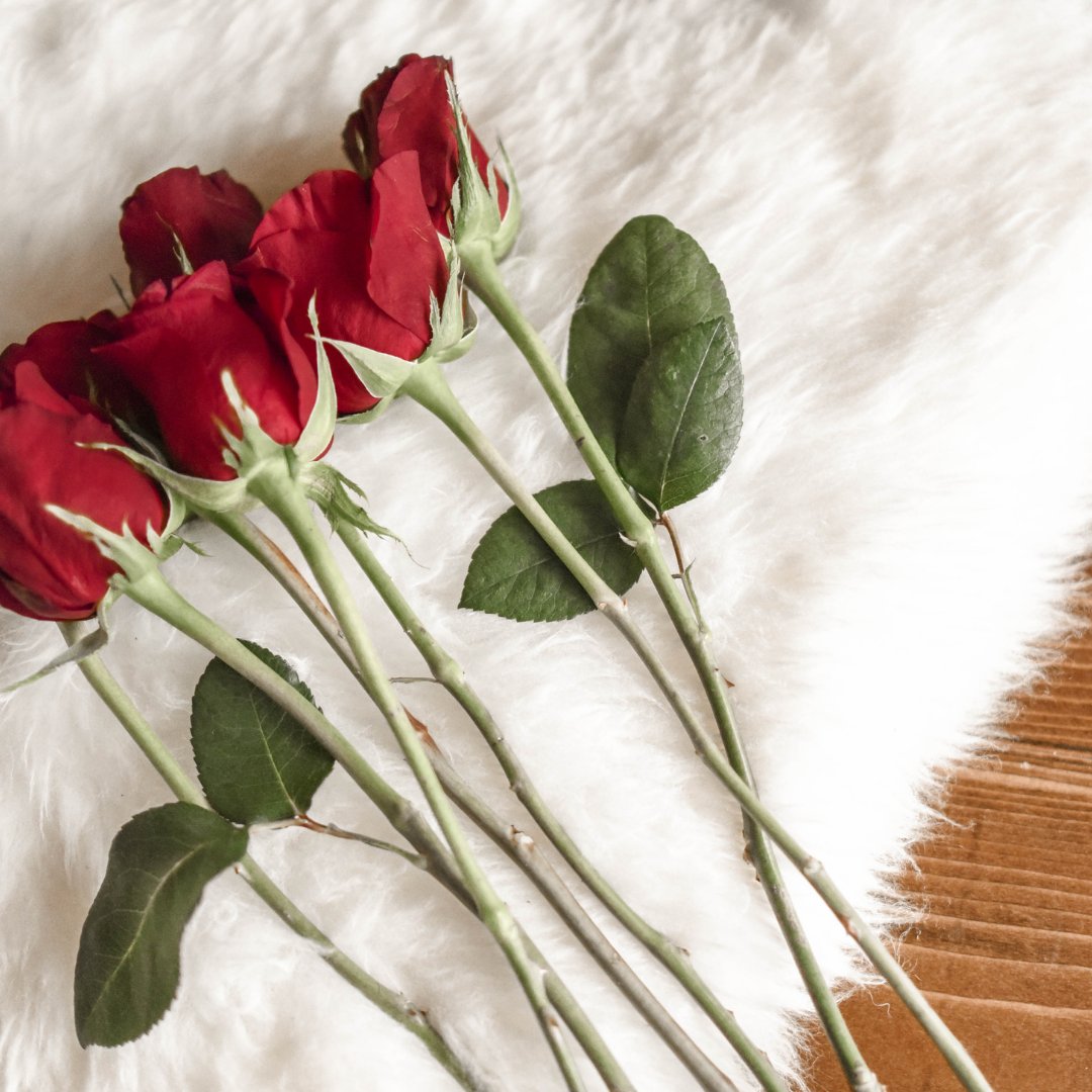 Love is in the air! Spend time with those you love most today and let them know how much you appreciate them. A flower or two...or 12 is always a good way to show that appreciation 🌹

#HappyValentinesDay #LoveIsLove