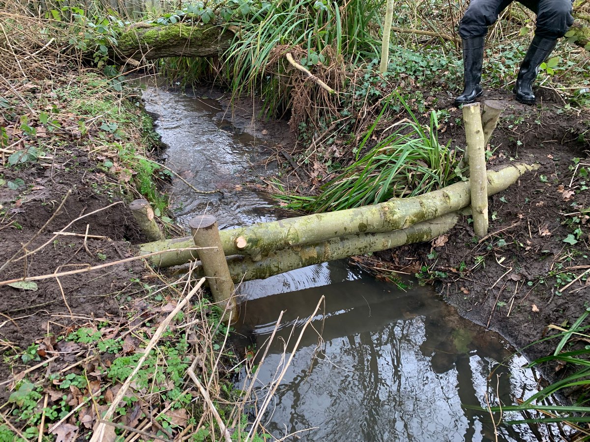 Mersey Rivers Trust tweet media