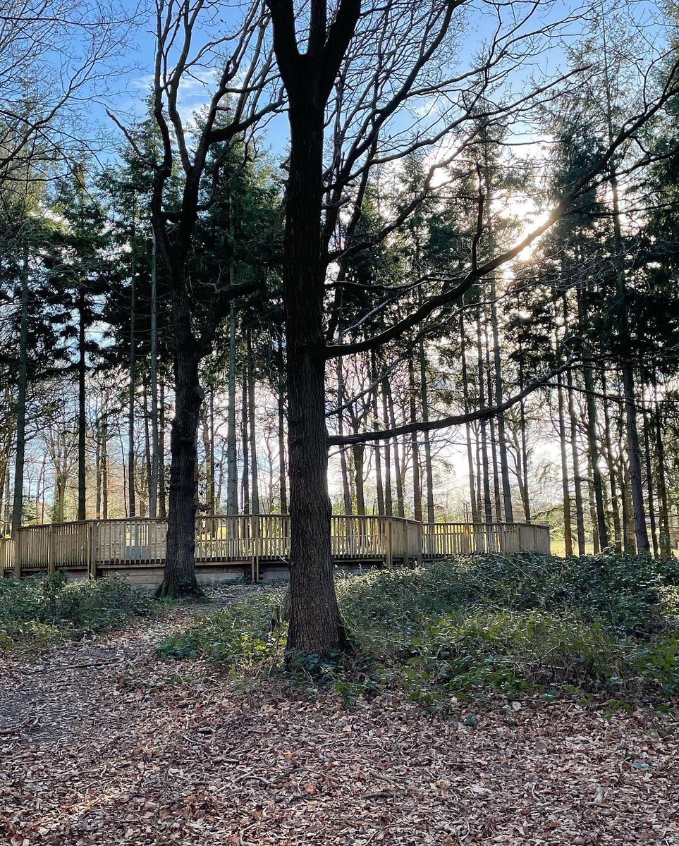 Happy Valentine’s Day! Suddenly found yourself needing to plan a wedding?! We provide bespoke packages in a beautiful forest location. Get in touch! Info@tipicallyinspired.co.uk #tipiwedding #worcestershirewedding #woodlandwedding #weddingvenue #wyreforest