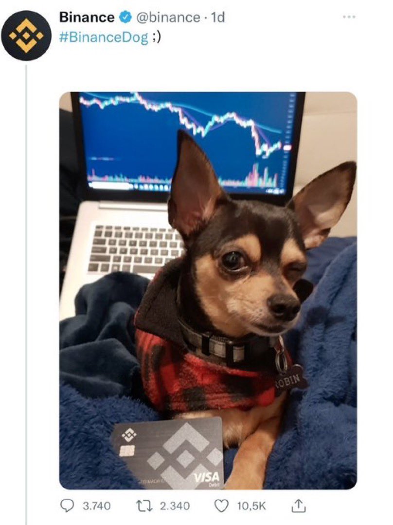 selenaroyf's tweet photo. $BINANCEDOG 🐕 Every tweet of Binance will bring this token higher. The next trend of 2022.

Easy Tokenomics:
One Billion Supply

✅ KYC
✅ Doxxed team

Fair launch just started:
https://t.co/cyPyF11arx

Website:
https://t.co/4d0y4ZTFAx https://t.co/IBbhViZ6KT