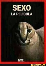 ELEMENT96728381's tweet photo. @nereawoof algun día https://t.co/PCsOCRCtsZ