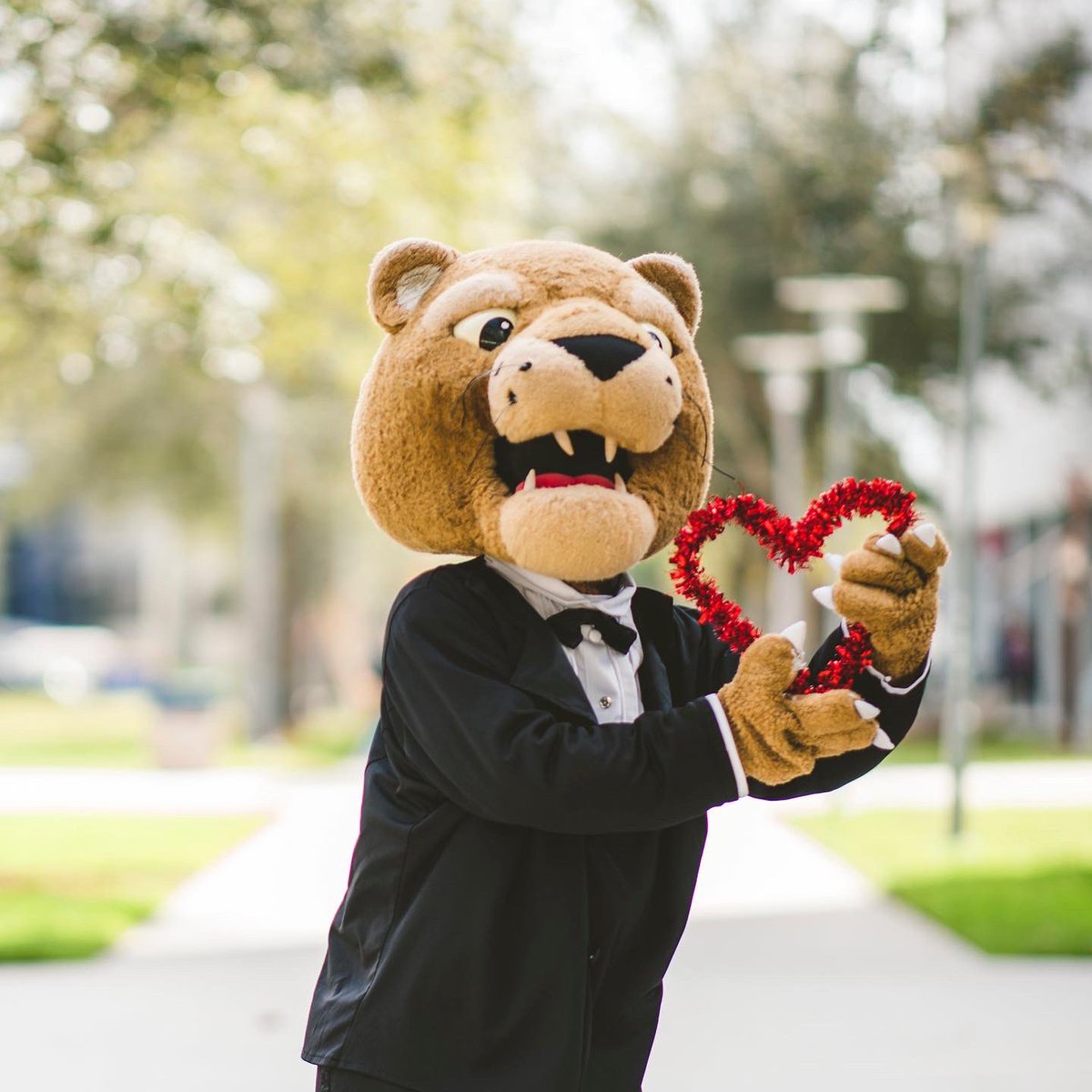 fiuvma's tweet photo. Happy Valentine’s Day, Panthers ❤️ 

Looking for a way to burn off today’s chocolaty sweets? Come join us for our weekly run/walk group! We’ll be meeting this afternoon at 5:30 PM in front of TOWER 100 (MMC) 

We hope to see you there ❤️🏃‍♀️🏃🏃‍♂️

#FIU #FIUVeterans #FIUVets #FIUVMA https://t.co/hnRR6807ur