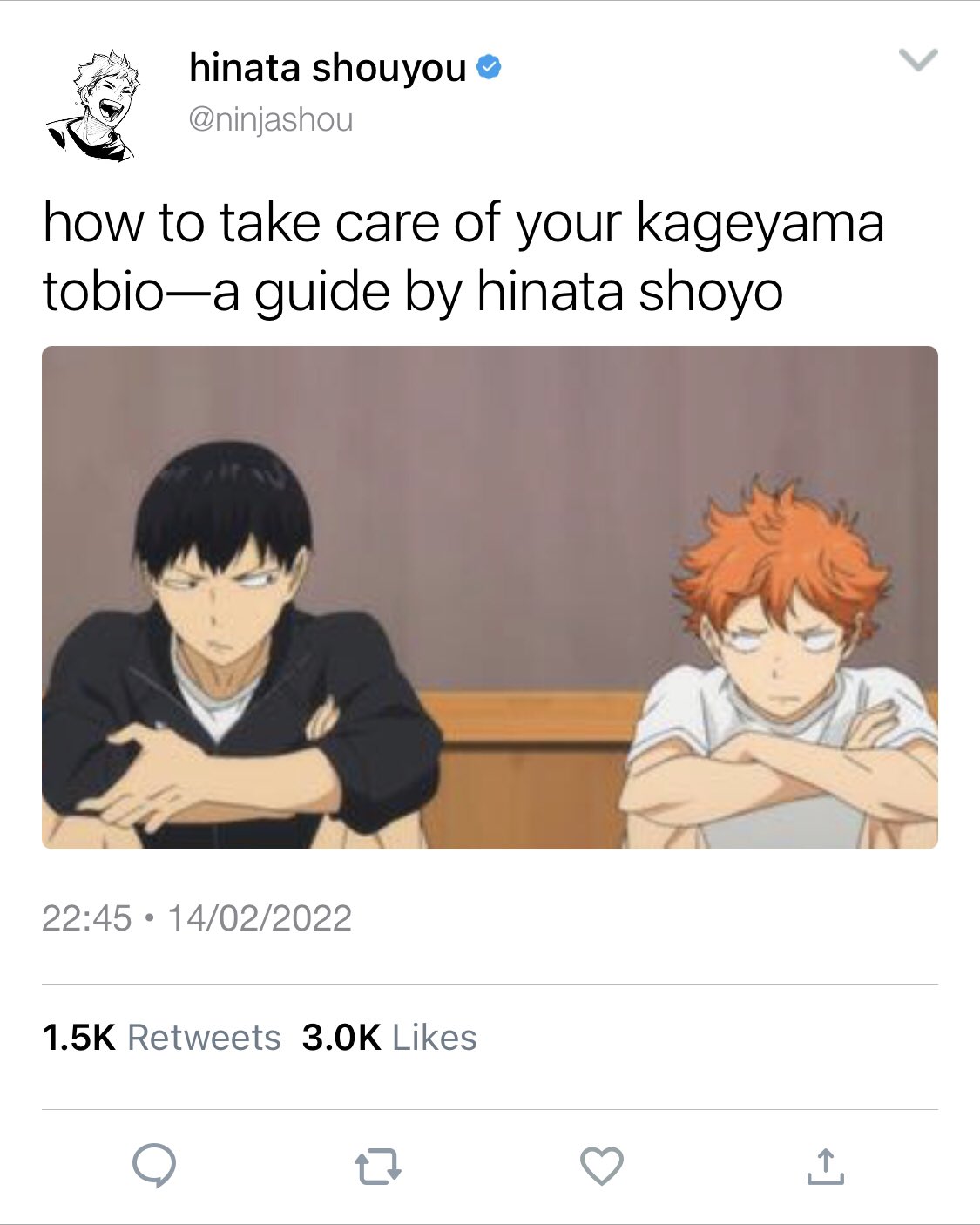 Kageyama Tobio / Hinata Shouyou / KageHina / Haikyuu!!