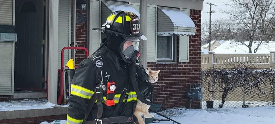 Dearborngov's tweet photo. At approximately 10:45 a.m. this morning, the Dearborn Fire Department extinguished a kitchen fire at a home on Payne Court. Fortunately, everyone was safe, including the family cat. Thank you, Dearborn firefighters!
Photo credit: Ian Kushnir https://t.co/OhKRiOpazm