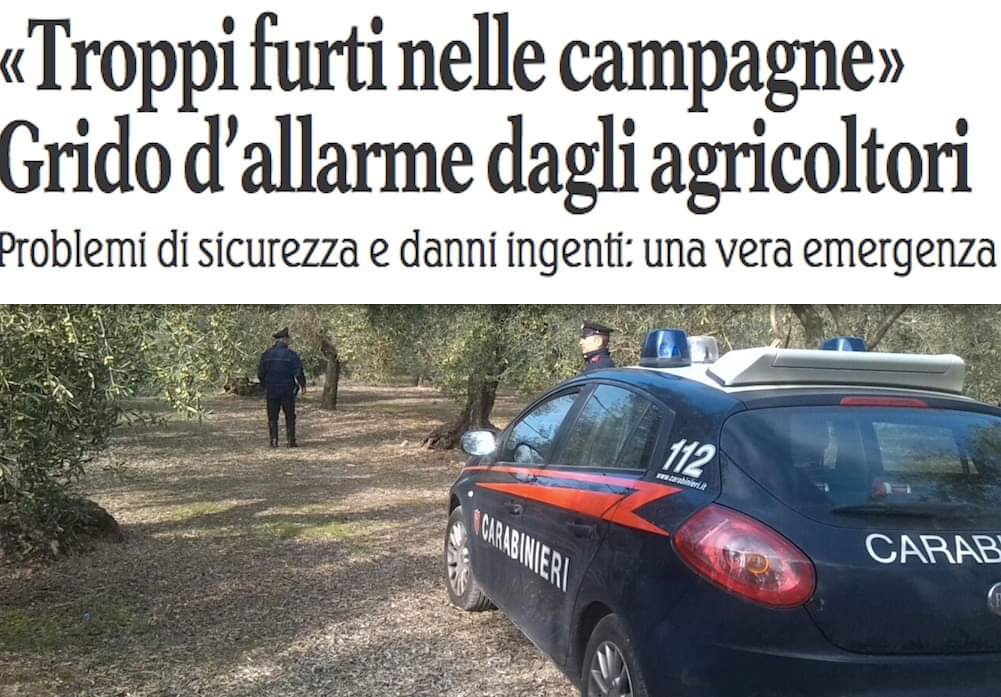 Cia Puglia (@ciapuglia) on Twitter photo La denuncia di <a href="/CiaPuglia/">Cia Puglia</a>, post: facebook.com/48459647171579… rubati anche gli ulivi resistenti alla Xylella #furti #Bari #taranto #Lecce #Foggia #14Febbraio2022 #14Febbraio #14Feb #Puglia #criminalità #agricoltori #agricoltura #ciapuglia La denuncia di <a href="/CiaPuglia/">Cia Puglia</a>, post: facebook.com/48459647171579… rubati anche gli ulivi resistenti alla Xylella #furti #Bari #taranto #Lecce #Foggia #14Febbraio2022 #14Febbraio #14Feb #Puglia #criminalità #agricoltori #agricoltura #ciapuglia