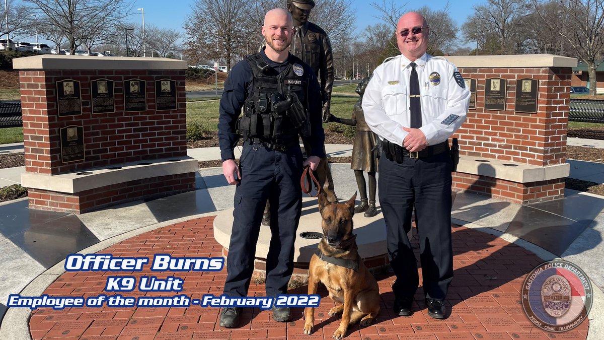 Congratulations to #GastoniaPD K9 Ofc Burns for being named #EmployeeOfTheMonth for his actions in locating an armed robbery suspect who shot at 3 GPD ofcs on 12/29/21. 

#Congratulations Officer Burns!

(from L-R: Ofc Burns, Rico, Asst Chief Conard)

#servingproudly | #police