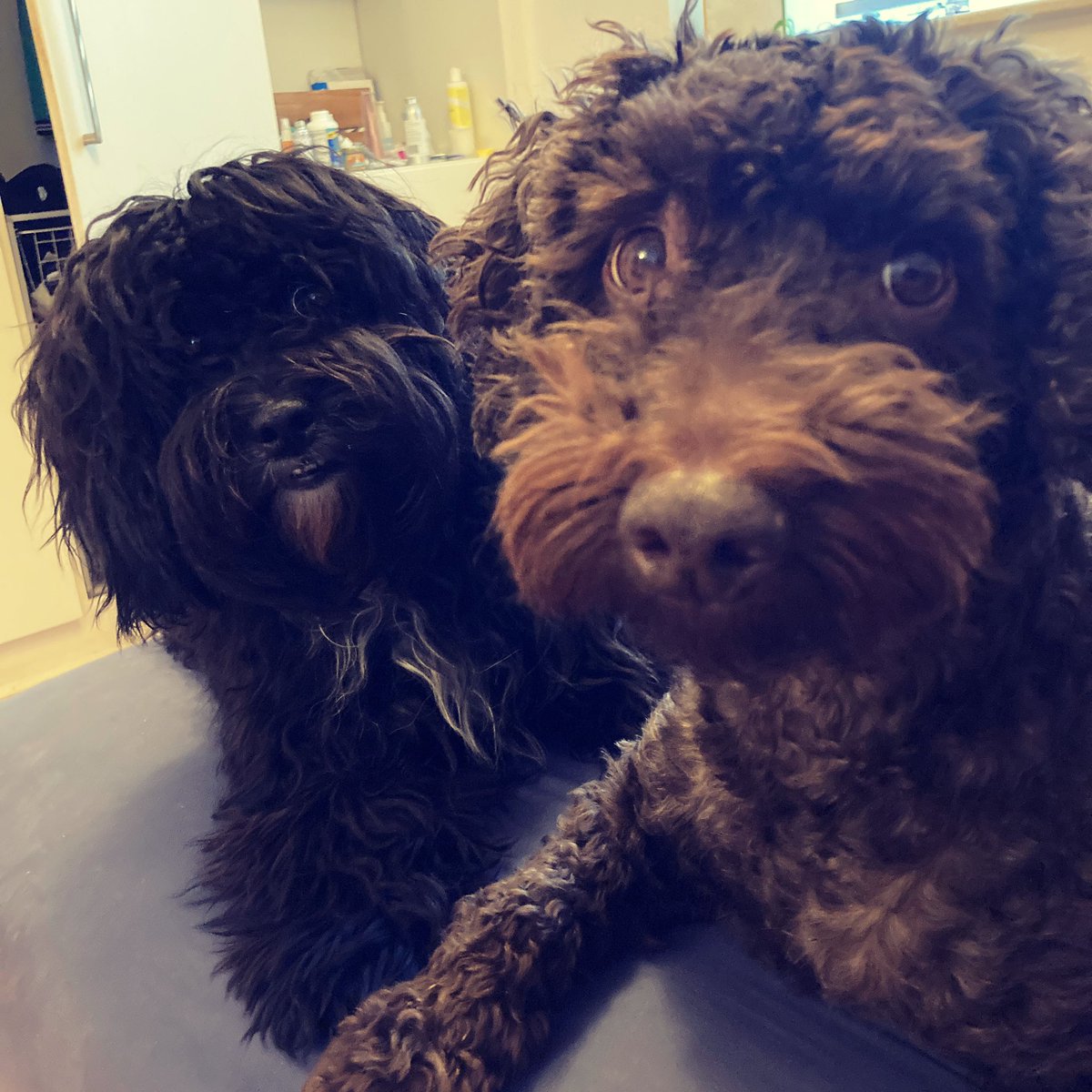 MA Fine Art tweet media