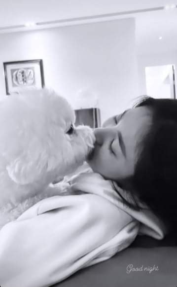 ghe0419's tweet photo. #SongHyeKyo IG story ❤️
#kyo1122 https://t.co/VfjY964QEV