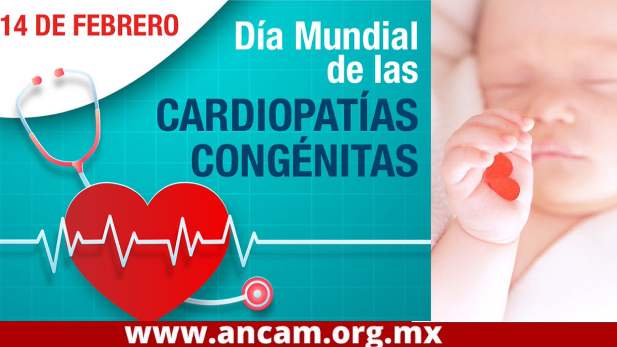 ANCAM México (@ancam_mexico) on Twitter photo El #14Feb es el Día Mundial de las #CardiopatiasCongenitas
📑Un día para informar a la población acerca de los avances en el diagnóstico, tratamiento y pronóstico en este grupo de patologías.
+INf ancam.org.mx
<a href="/LucelliYaGutz/">🅻🆄🅲🅴🅻🅻🅸 🆈ÁÑ🅴🆉</a> <a href="/paomorejon/">Paola Morejón Barragán</a> <a href="/Andriu_Nunez/">Dra. Andrea Núñez Cardio ❤</a> El #14Feb es el Día Mundial de las #CardiopatiasCongenitas
📑Un día para informar a la población acerca de los avances en el diagnóstico, tratamiento y pronóstico en este grupo de patologías.
+INf ancam.org.mx
<a href="/LucelliYaGutz/">🅻🆄🅲🅴🅻🅻🅸 🆈ÁÑ🅴🆉</a> <a href="/paomorejon/">Paola Morejón Barragán</a> <a href="/Andriu_Nunez/">Dra. Andrea Núñez Cardio ❤</a>