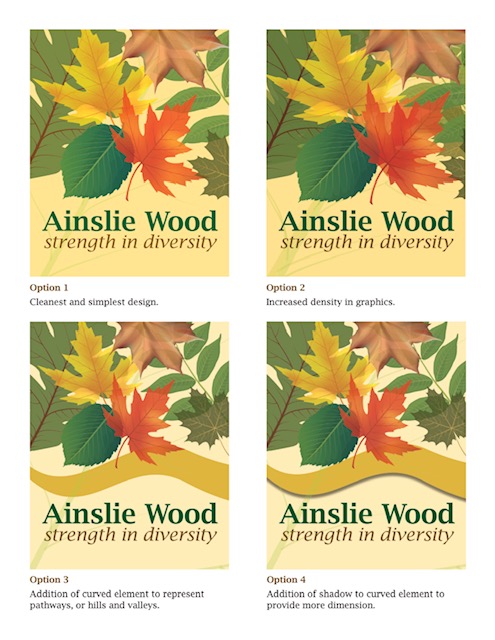 Ainslie Wood C.A. tweet media