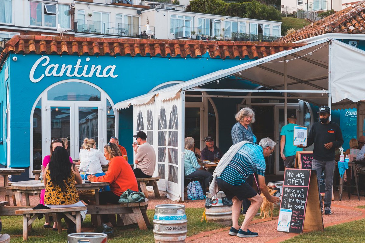 Women In Torbay & Totnes tweet media