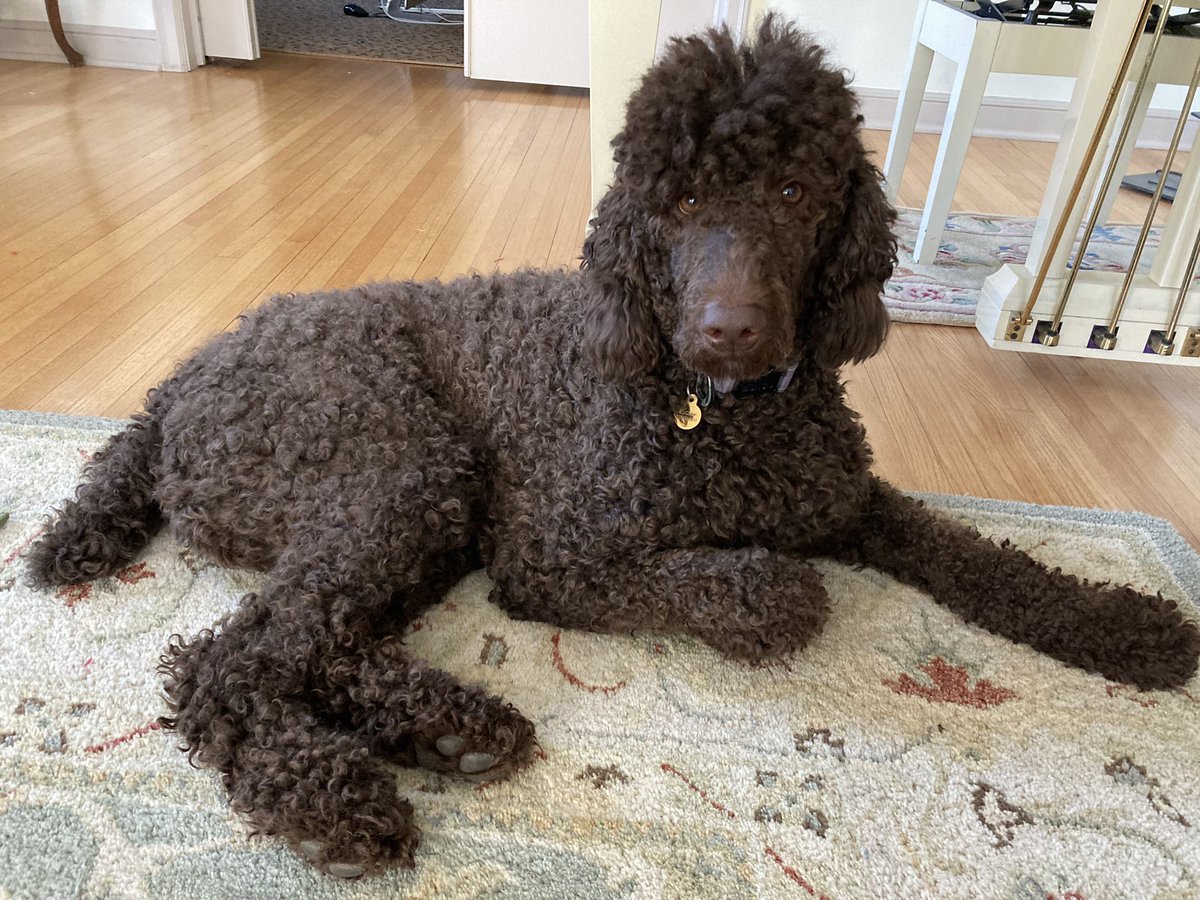 Christa Worrell tweet media