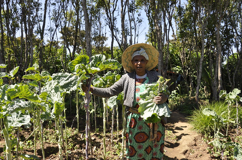 CGIARgender's tweet photo. The intensifying impacts of #climatechange disproportionately harm #women and expose social and #gender inequalities across the globe. Read how #genderequality can transform #foodsystems and protect us from climate change disasters: https://t.co/yLCBPQptYt #GenderinAg @CGIAR https://t.co/6YXgsaAvtE