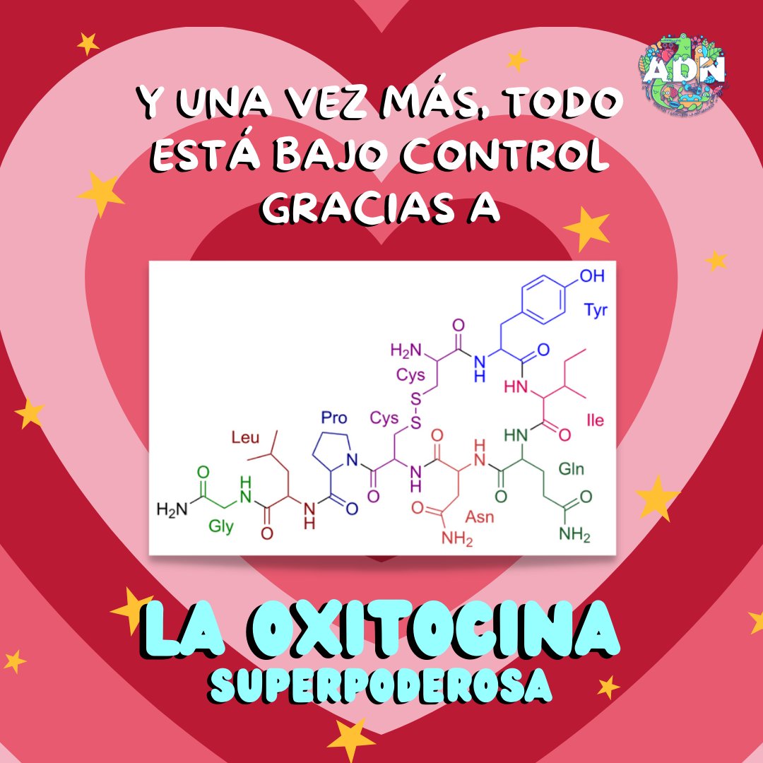 ADNaprende's tweet photo. ¿Alguien se siente más amorosx hoy? 🐻🥰
Puede que la 'hormona del amor' esté haciendo su trabajo.

Conoce un poco más aquí  ---> https://t.co/xFcZ9OE5ur

Y de parte de todxs lxs ADNocitos:
💘 ¡Feliz Día del Amor y Amistad! 💘

#14DeFebrero #SanValentin #AmorYAmistad https://t.co/0YqE6uGngV