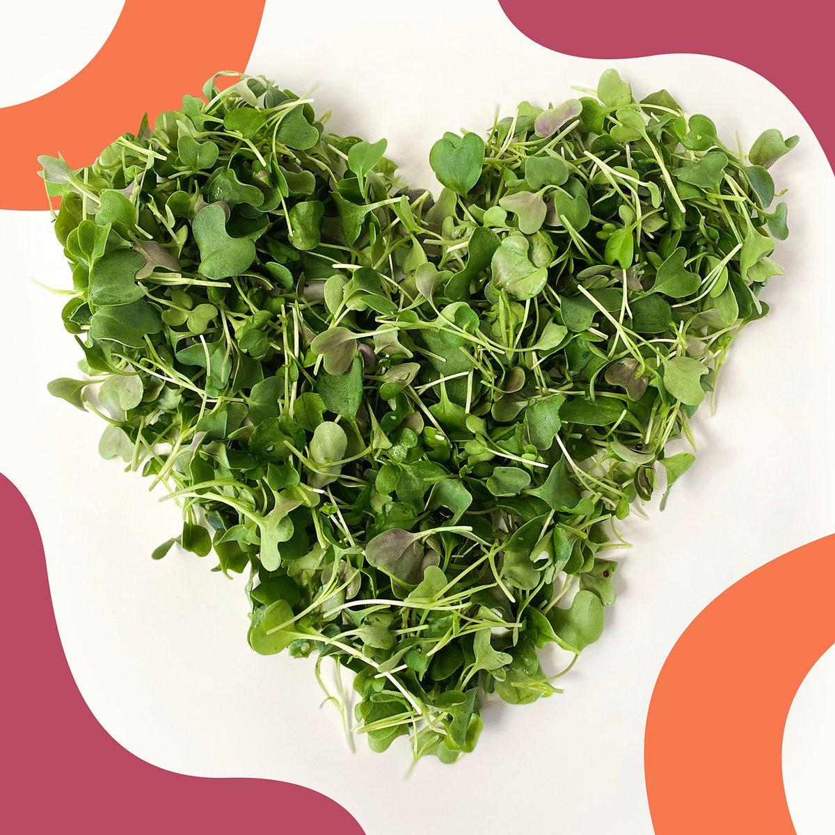 ForwardGreens's tweet photo. Who says Valentine's Day can't be green?! That's how we love to celebrate 💚 https://t.co/EU4WJMF0w4
