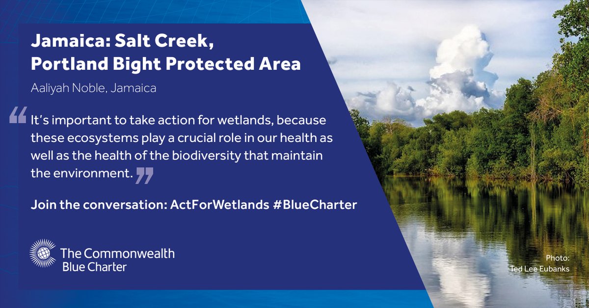 "It's important to take action for wetlands, because these ecosystems play a crucial role in our health as well as the health of the biodiversity that maintain the environment." 🏞️

Find out more about the #Commonwealth #BlueCharter ➡️: bluecharter.thecommonwealth.org

#ActForWetlands