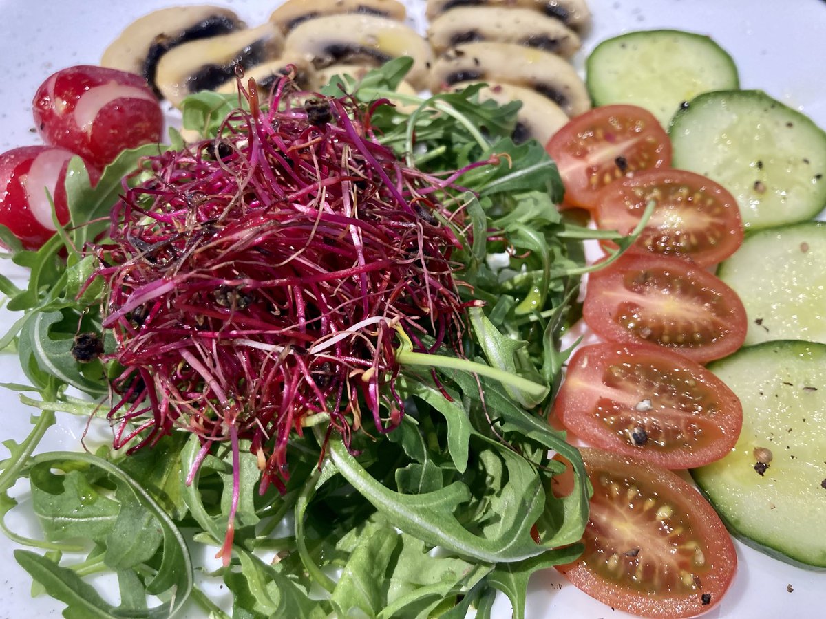 Had a very short lunch break…. #healthysalad with #beetmicrogreens #mushrooms #arugula #cucumber #cherrytomatoes and some #sesameoil #blackpeppers.