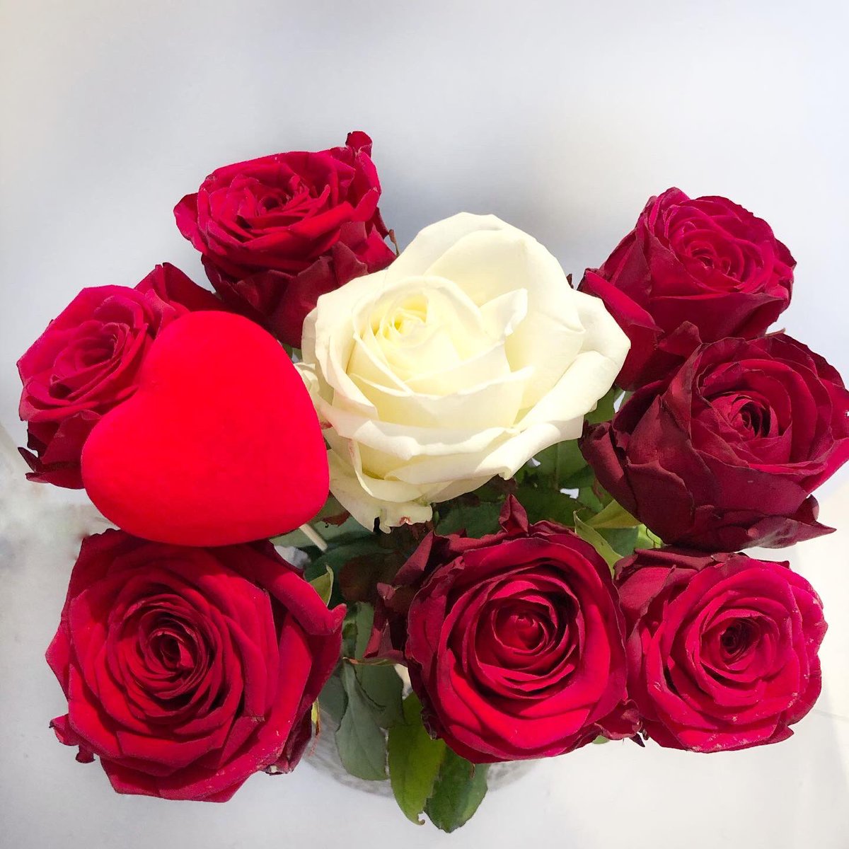 roses_mkr's tweet photo. “A rose speaks of love silently in a language known only to the heart”.
Happy Valentine’s Day everyone! 
Did you plan something for this day ? 
#ValentinesDay 

https://t.co/t9G6z3G2D7 https://t.co/IMEBwFTpYB