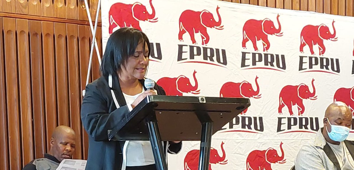 MayorJohnsonE's tweet photo. SQUAD ANNOUNCEMENT | Eastern Province Elephants announced the squad to represent the province on the Currie Cup 2022 tournament. EM Johnson congratulated the newly elected squad and pledged to support the team all the way. https://t.co/S2nVv9ESEs