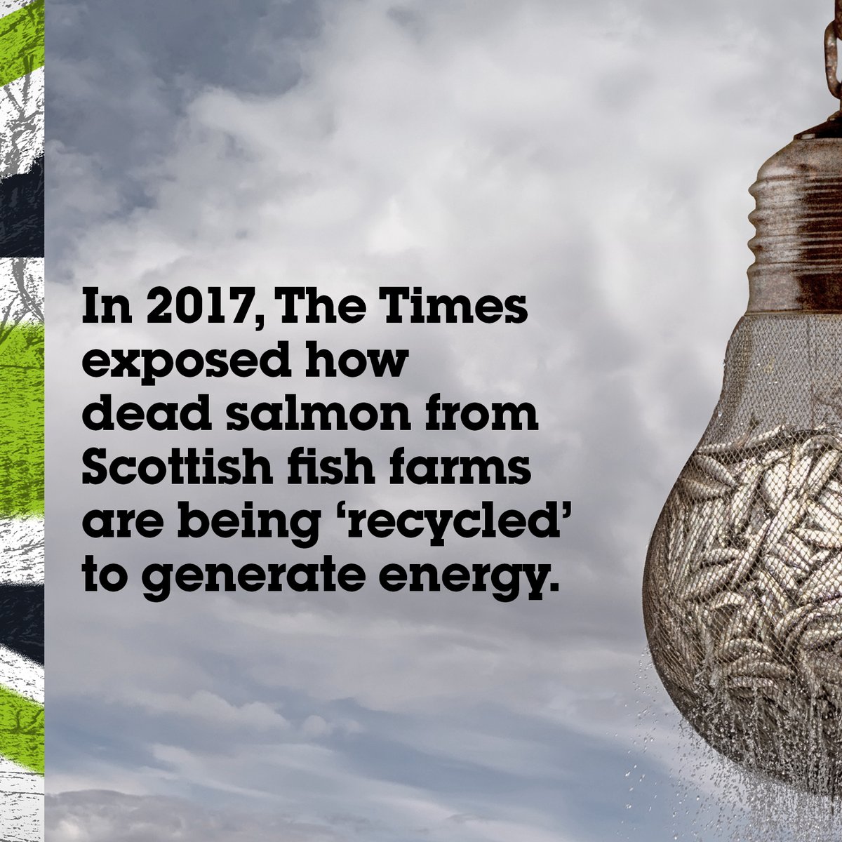 ecotricity's tweet image. Many of you have now seen our breaking @ITVTonight  story about puppies being used to produce energy. But it’s not just hunt dogs which are affected. 
Is your energy vegan?
ecotricity.co.uk/our-green-ener…
#ecotricity  #vegan #plantbased  #crueltyfree #veganlife #govegan #veganism