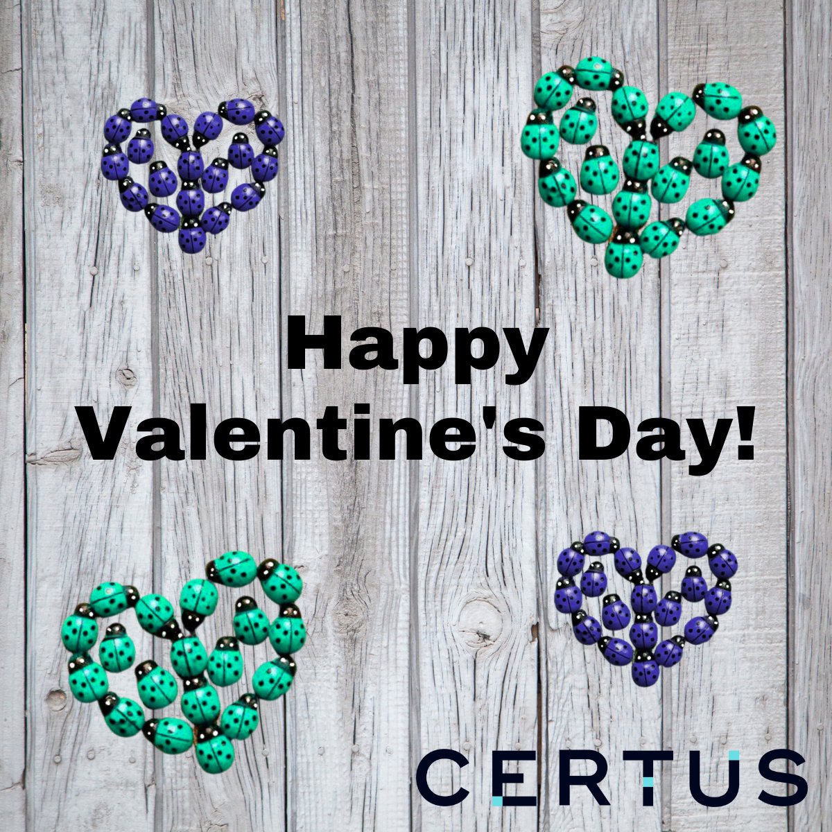 Happy Valentine's Day Everyone ❤️