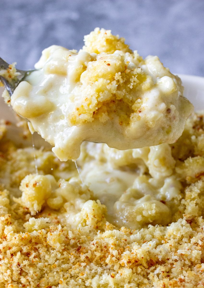 CookingJar's tweet image. This homemade baked Mac and cheese is definitely a labor of love. With all the work you’ll put into shredding both cheddar and Gruyère cheese, make sure to strut around when presenting it and reap your well-deserved praise. 

thecookingjar.com/baked-mac-and-…