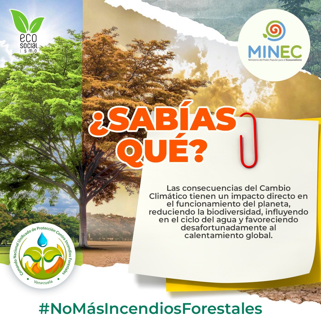 #¿SabíasQué? || El #CambioClimático es el mejor combustible para los huracanes, provocando territorios inundados🌧️, deslaves entre otras alteraciones en nuestro planeta tierra🌎. 

Cuidemos y defendamos la naturaleza #ElClimaNosLlama
