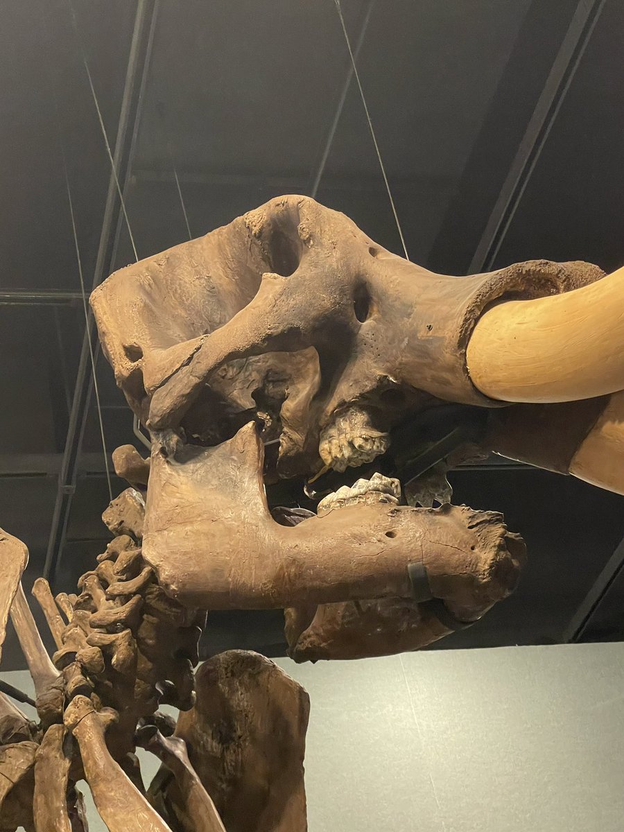 Bring a smile to your Valentine’s face, take her on a Museum date!