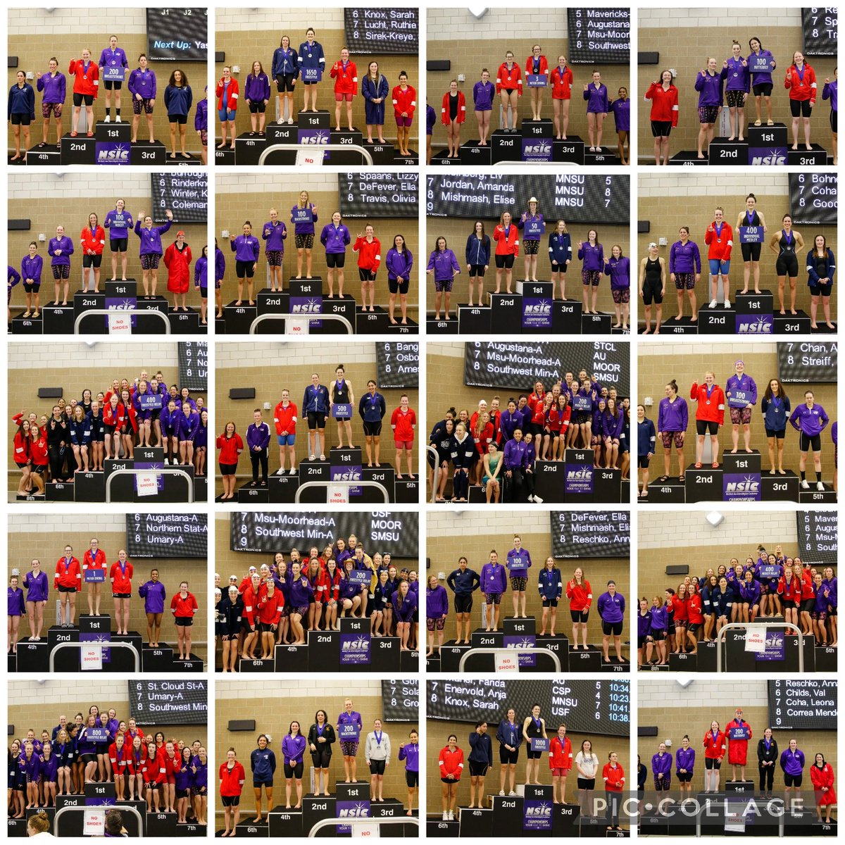 SCSU_SWIMDIVE's tweet photo. SBW 🐾 https://t.co/WV105xKuCN