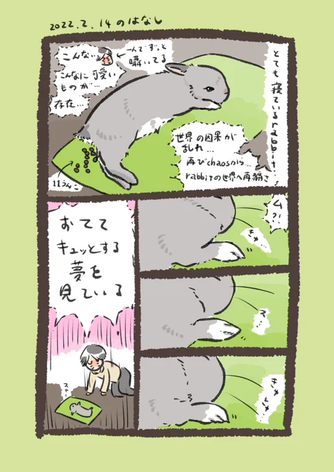 日付け変わって昨日のrabbit…
#うさぎのいる生活 