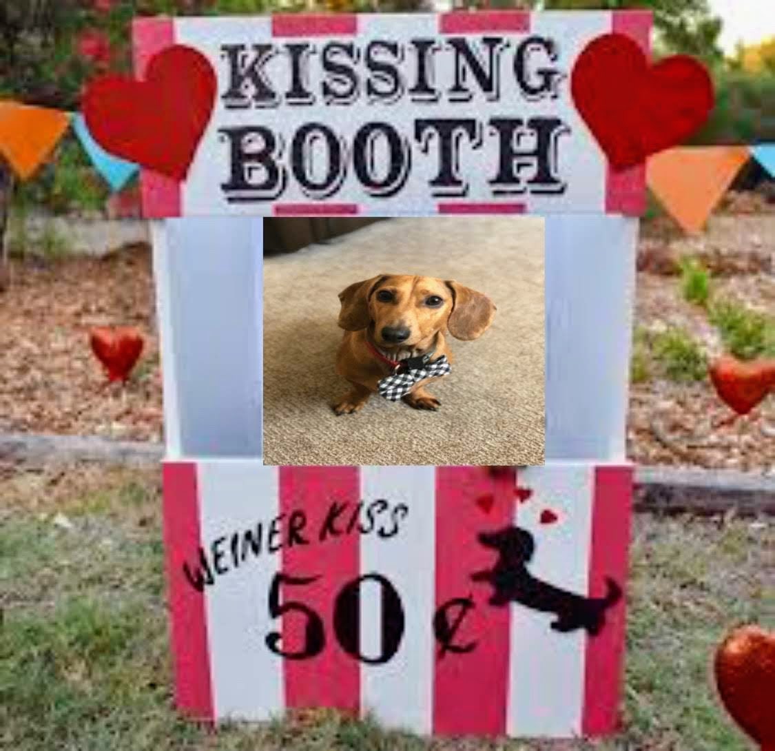 Happy Valentine’s Day everyone! ♥️
#dogsoftwitter #kissingbooth #Dachshunds