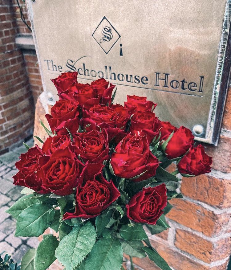 SchoolhouseD4's tweet photo. 🌹 #ValentinesDay https://t.co/Sm74GbizwR
